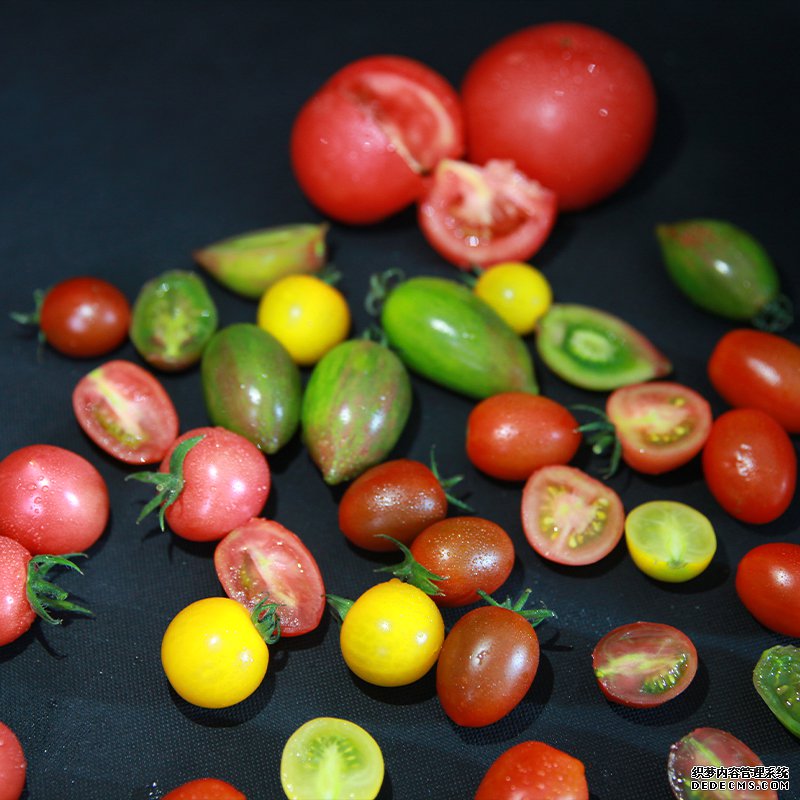 西红柿(Tomatoes)