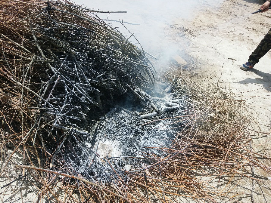 clip_image006.jpg