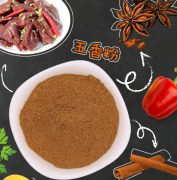 五香粉（Five-spice powder）