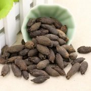 母丁香（Clove）