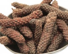 小荜茇（Small long pepper）