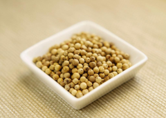 白胡椒（White Pepper）