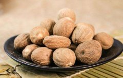 大肉蔻（Large nutmeg）