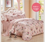 床上四件套（Four pieces bedding