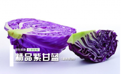 紫甘蓝（Purple cabbage）