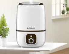 加湿器（Humidifier）
