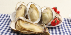蚝（Oyster）