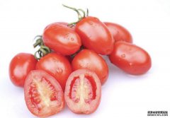 圣女果（Cherry tomatose）
